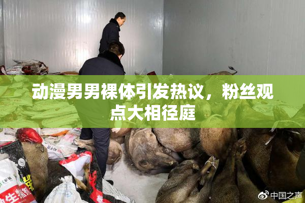 动漫男男裸体引发热议，粉丝观点大相径庭