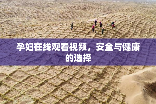 孕妇在线观看视频，安全与健康的选择