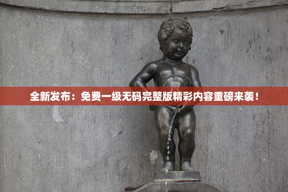 全新发布：免费一级无码完整版精彩内容重磅来袭！