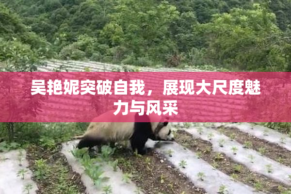 吴艳妮突破自我，展现大尺度魅力与风采