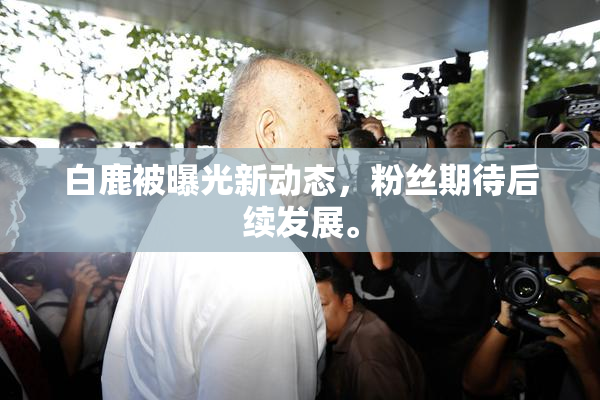 白鹿被曝光新动态，粉丝期待后续发展。