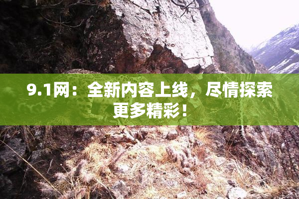 9.1网：全新内容上线，尽情探索更多精彩！