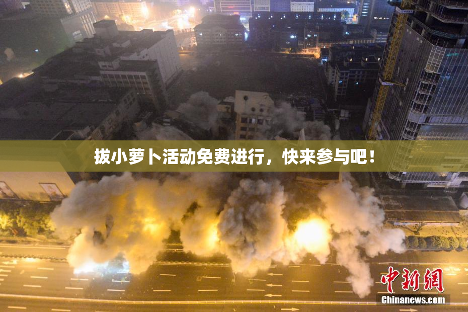 拔小萝卜活动免费进行，快来参与吧！