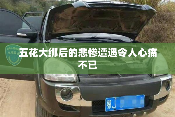 五花大绑后的悲惨遭遇令人心痛不已