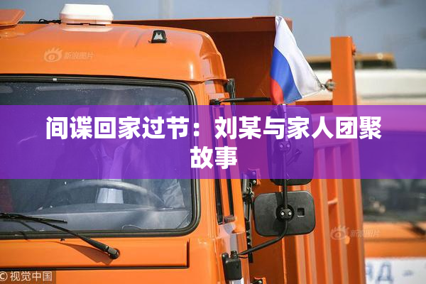 间谍回家过节：刘某与家人团聚故事