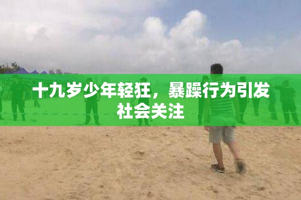 十九岁少年轻狂，暴躁行为引发社会关注