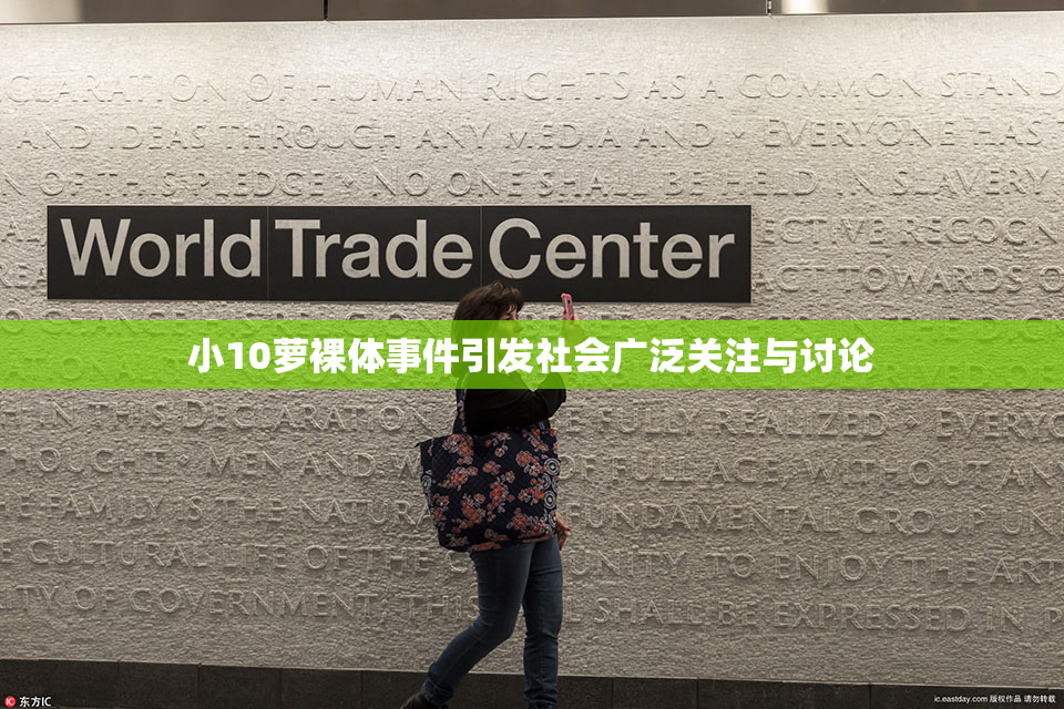 小10萝裸体事件引发社会广泛关注与讨论