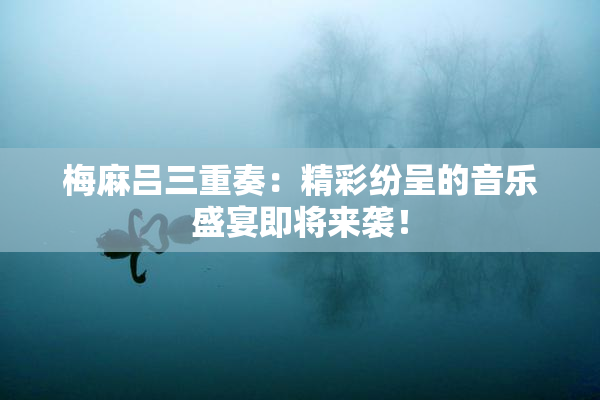 梅麻吕三重奏：精彩纷呈的音乐盛宴即将来袭！
