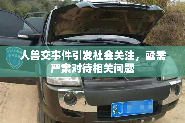 人兽交事件引发社会关注，亟需严肃对待相关问题