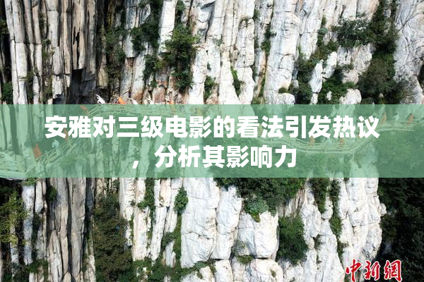安雅对三级电影的看法引发热议，分析其影响力