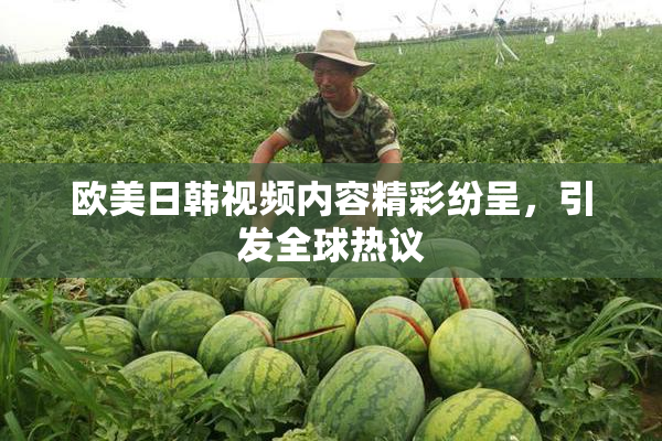 欧美日韩视频内容精彩纷呈，引发全球热议
