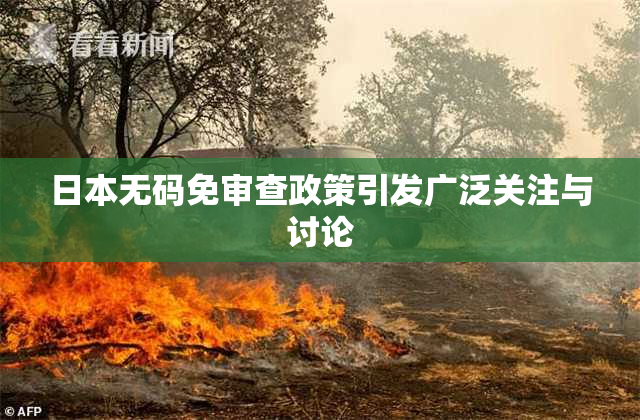 日本无码免审查政策引发广泛关注与讨论