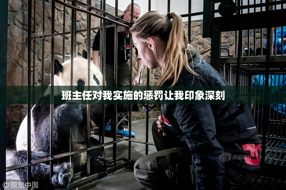 班主任对我实施的惩罚让我印象深刻