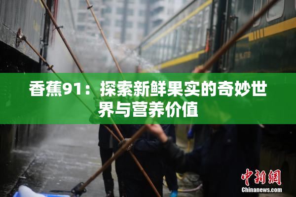 香蕉91：探索新鲜果实的奇妙世界与营养价值