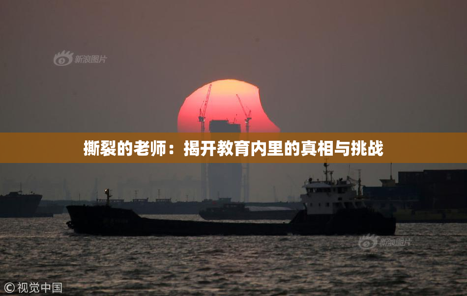 撕裂的老师：揭开教育内里的真相与挑战
