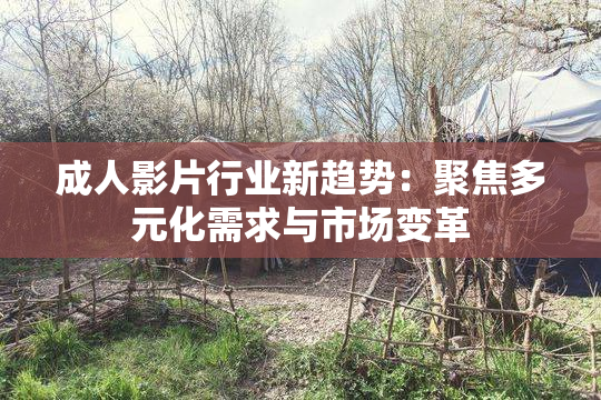 成人影片行业新趋势：聚焦多元化需求与市场变革