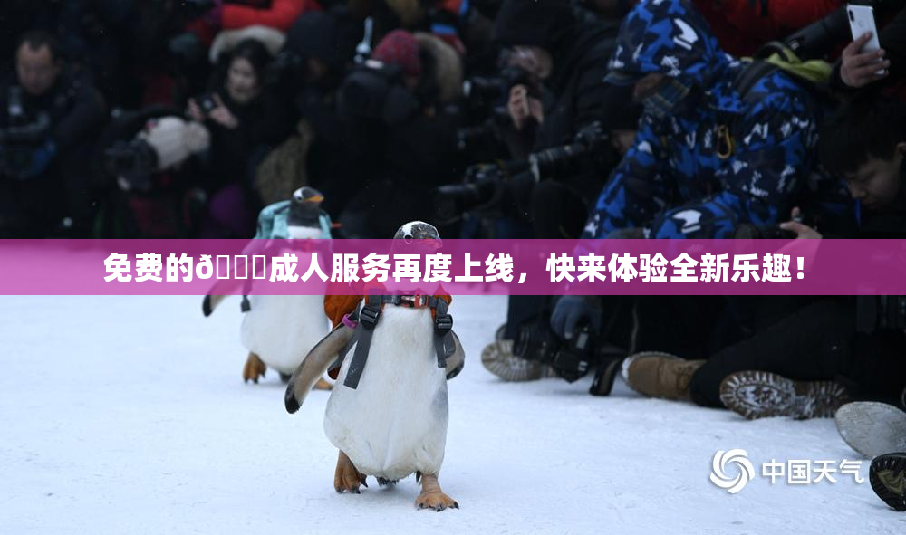 免费的🔞成人服务再度上线，快来体验全新乐趣！