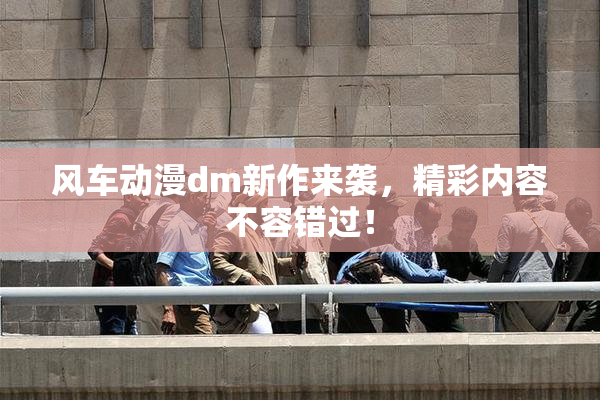 风车动漫dm新作来袭，精彩内容不容错过！