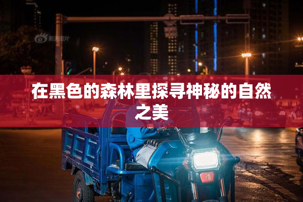 在黑色的森林里探寻神秘的自然之美