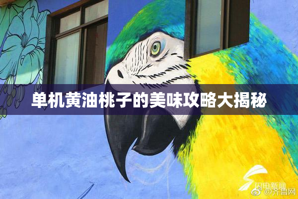 单机黄油桃子的美味攻略大揭秘