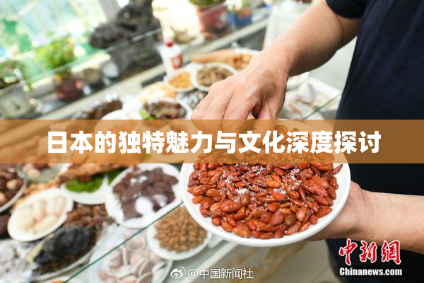 日本的独特魅力与文化深度探讨