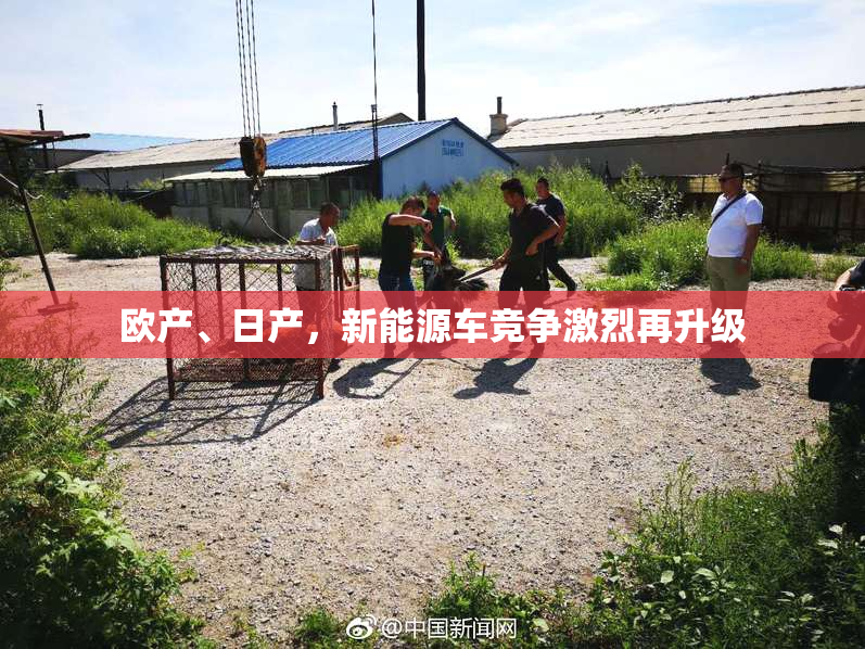 欧产、日产，新能源车竞争激烈再升级