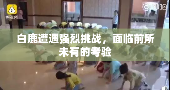 白鹿遭遇强烈挑战，面临前所未有的考验