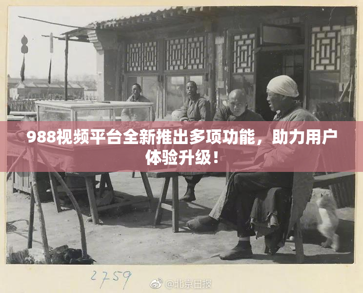 988视频平台全新推出多项功能，助力用户体验升级！