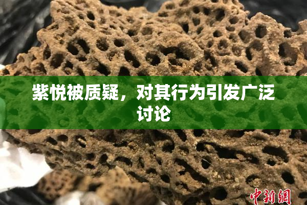 紫悦被质疑，对其行为引发广泛讨论