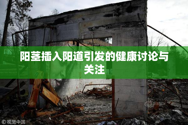 阳茎插入阳道引发的健康讨论与关注