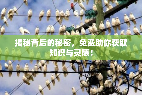 揭秘背后的秘密，免费助你获取知识与灵感！