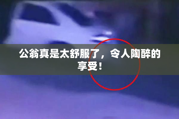 公翁真是太舒服了，令人陶醉的享受！