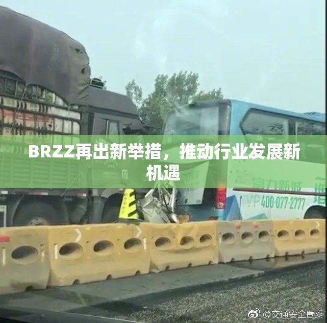 BRZZ再出新举措，推动行业发展新机遇