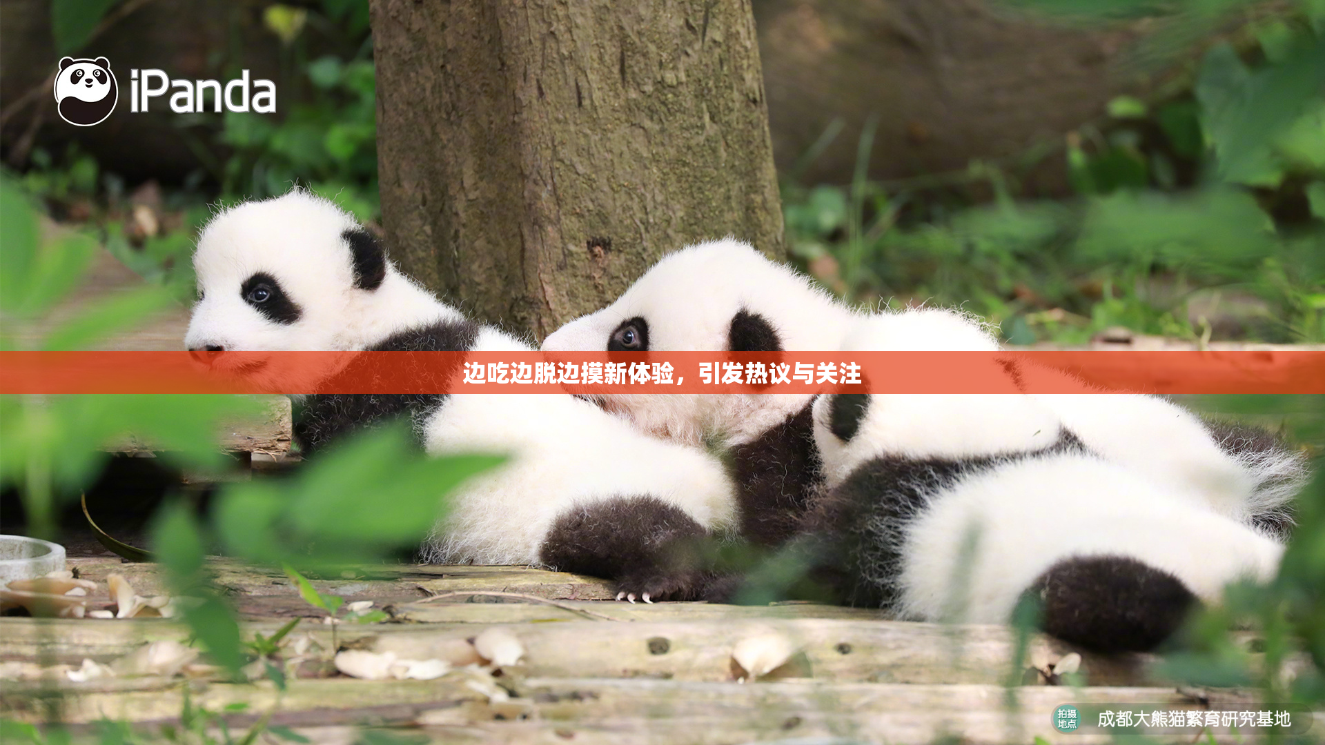边吃边脱边摸新体验，引发热议与关注