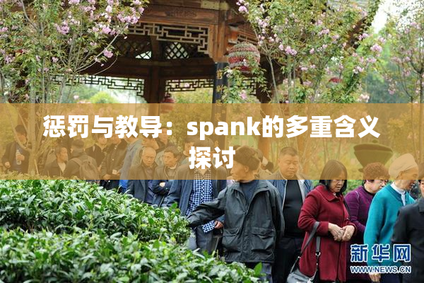 惩罚与教导：spank的多重含义探讨