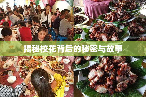 揭秘校花背后的秘密与故事