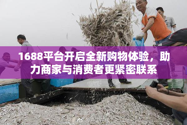 1688平台开启全新购物体验，助力商家与消费者更紧密联系