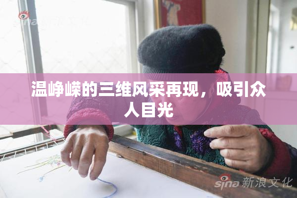 温峥嵘的三维风采再现，吸引众人目光