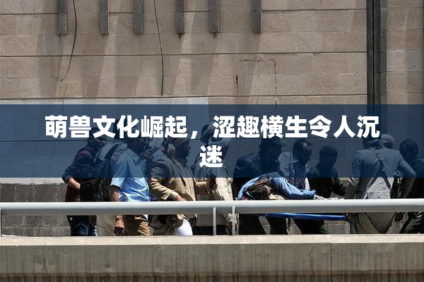 萌兽文化崛起，涩趣横生令人沉迷