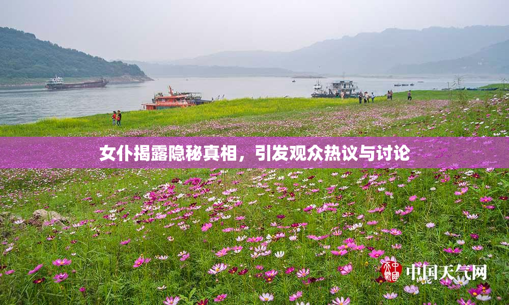 女仆揭露隐秘真相，引发观众热议与讨论