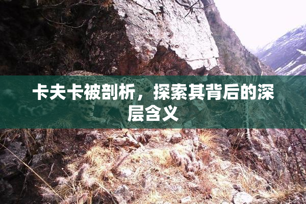 卡夫卡被剖析，探索其背后的深层含义