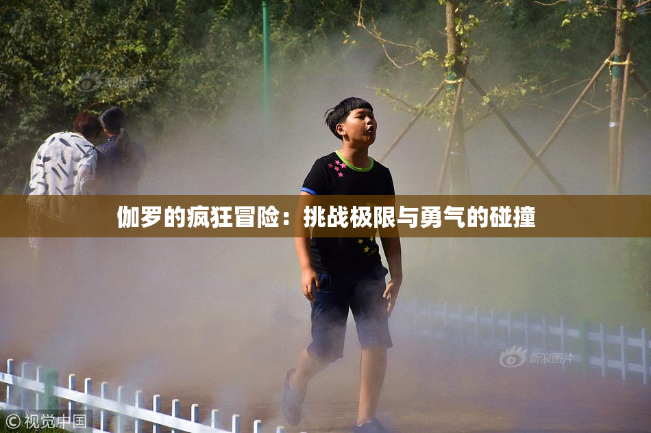 伽罗的疯狂冒险：挑战极限与勇气的碰撞