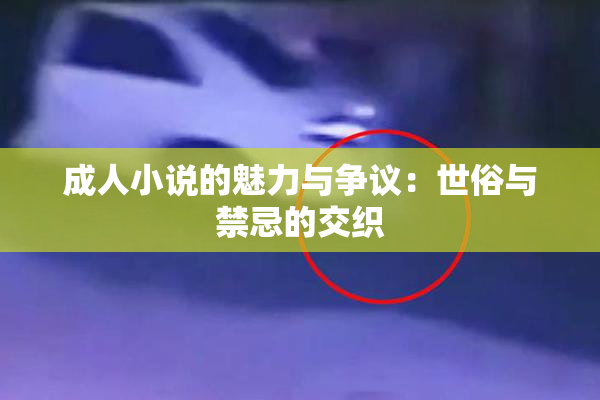 成人小说的魅力与争议：世俗与禁忌的交织