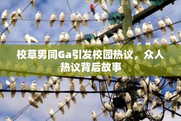 校草男同Ga引发校园热议，众人热议背后故事