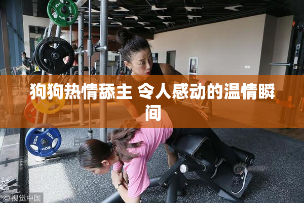 狗狗热情舔主 令人感动的温情瞬间