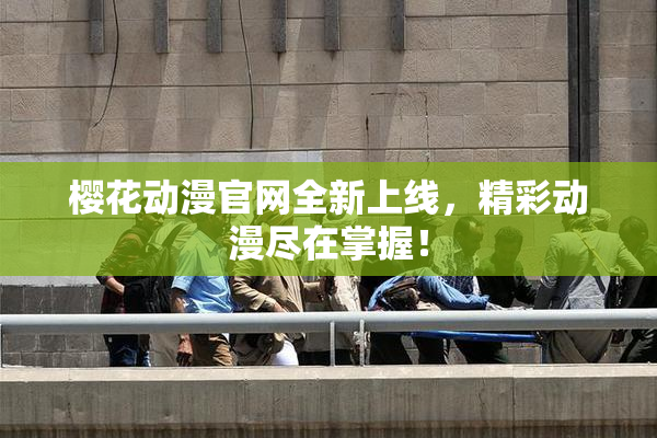 樱花动漫官网全新上线，精彩动漫尽在掌握！