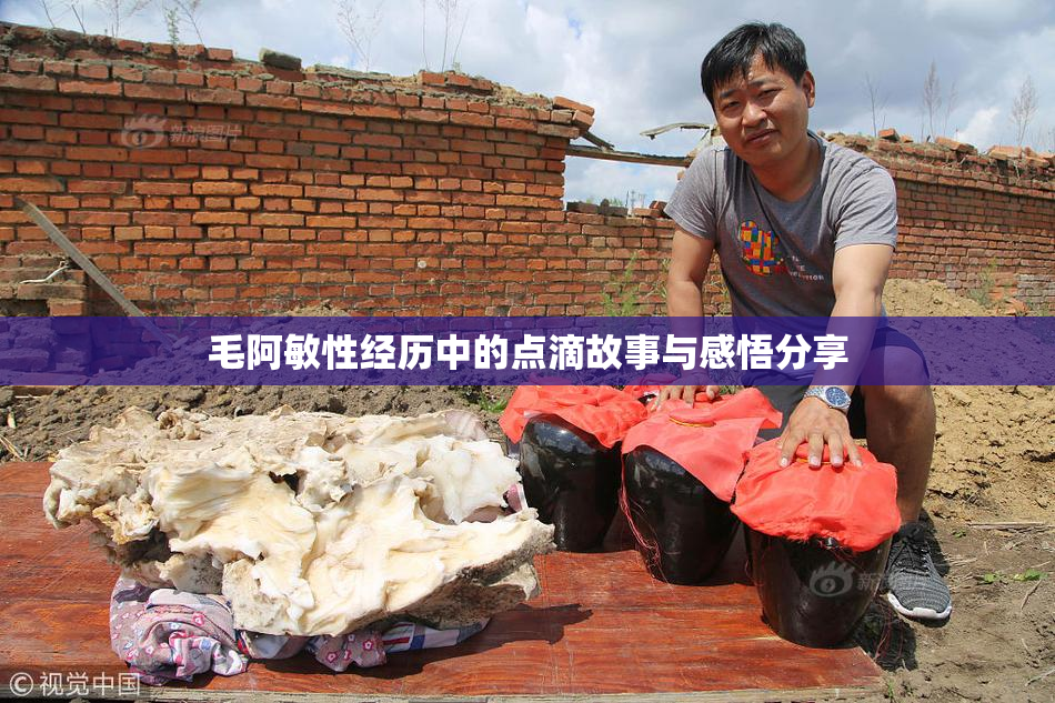 毛阿敏性经历中的点滴故事与感悟分享