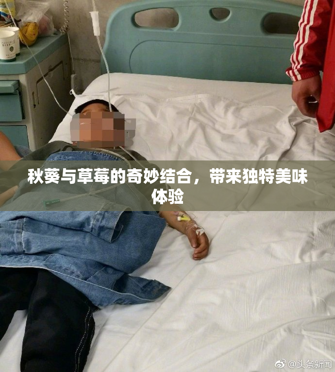 秋葵与草莓的奇妙结合，带来独特美味体验