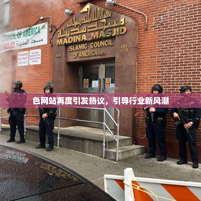 色网站再度引发热议，引导行业新风潮