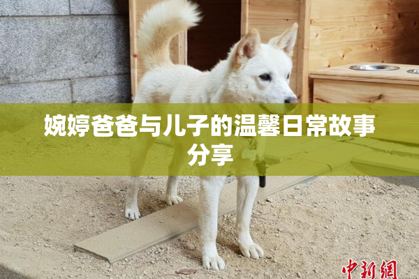 婉婷爸爸与儿子的温馨日常故事分享